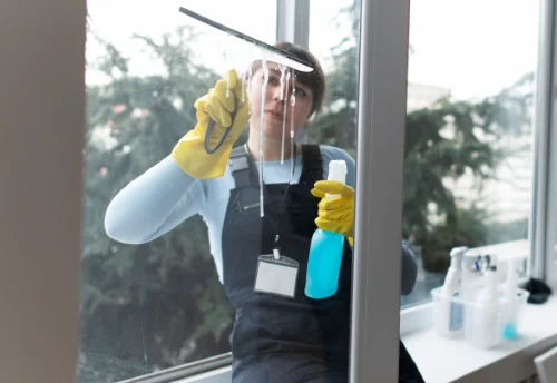 Nettoyage de vitres intérieures et extérieures à Mévouillon